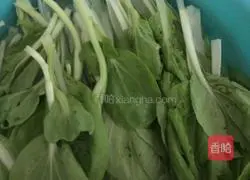 Illustration of how to make cabbage and pork dumplings 1