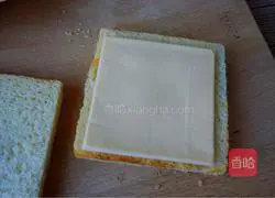 Illustration of making salami sausage sandwich 5