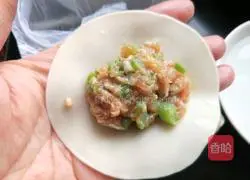 Illustration of how to make bean and pork dumplings 12