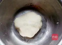 Chicken and Carrot Wonton Recipe Illustration 1