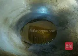 Illustration of how to make shredded pork fried rice with double pepper 9