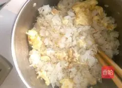 Egg Fried Rice Recipe Illustration 5