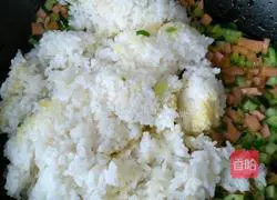 Soy Sauce Fried Rice Recipe Illustration 2