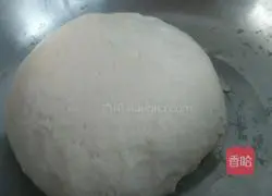 Illustration of Northeast Mushroom and Big Chili Pork Dumplings 4