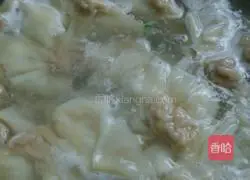 Illustration of how to make wontons 6