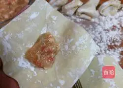 Illustration of how to make Shanghai seafood and shrimp wontons 8