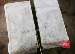 Tuna sandwich recipe 18