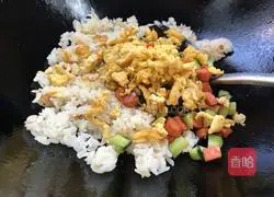 Illustration of home-style colorful fried rice 8