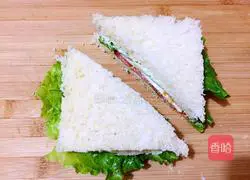 Illustration of Homemade Sandwiches 14