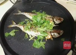 Illustration of how to make pan-fried Balang fish (electric baking pan) 8
