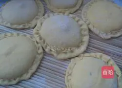 Pumpkin pie recipe 5