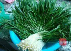 Illustration of how to make potato starch dumplings 1