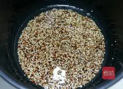 Pumpkin Quinoa Rice Recipe Illustration 2