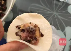 Illustration of how to make mushroom and fungus dumplings 3