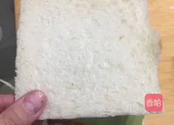 Illustration of homemade sandwiches 11