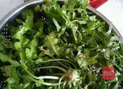 Illustration of how to make green shepherd's purse dumplings 1