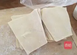 Illustration of how to make homemade meatball wontons 5