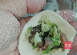 Illustration of making dumplings with pork and sophora flower stuffing 19