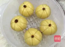 Pumpkin pie recipe 7