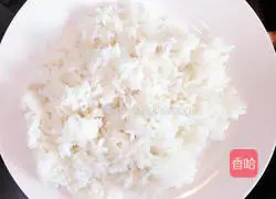 Assorted Fried Rice Recipe Illustration 2