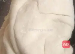 Illustration of how to make Tianjin Goubuli steamed buns 9