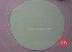 Wild garlic egg vegetable pancake recipe 8