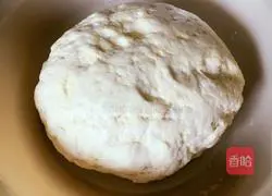 Illustration of how to make dumplings stuffed with pork, shrimp and green pepper 1