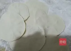 Pork and onion dumplings recipe 17