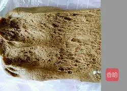 Chocolate Bear Buns Recipe Illustration 3