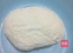 Illustration of tomato cold noodles 3