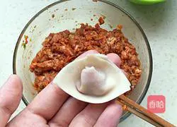 Illustration of how to make wontons stuffed with pork and carrots 9