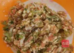 Pork and green onions Illustration of how to make dumplings 2