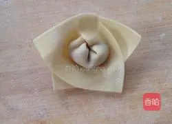 Illustration of how to make mushroom and pork wontons 8