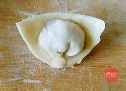 Illustration of how to make vegetarian wontons 10