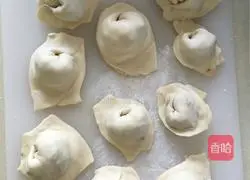 Illustration of how to make wontons 8