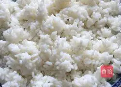 Illustration of how to make egg fried rice 1