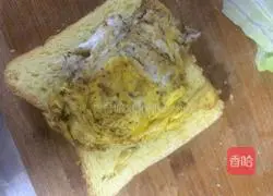 Illustration of how to make a sandwich 5