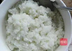 Pineapple Fried Rice Recipe Illustration 1