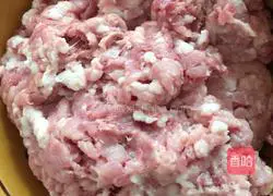 Illustration of how to make vegetable and meat wontons 2