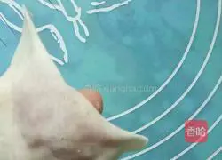 Illustration of how to make seaweed wontons 5