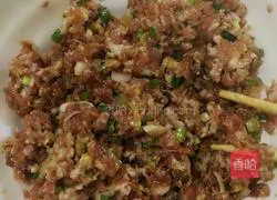 Illustration of how to make pot stickers and dumplings 4