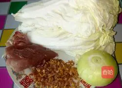 Illustration of how to make dumplings stuffed with pork, shrimp and cabbage 1