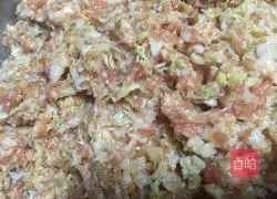 Illustration of how to make dumpling stuffing 6