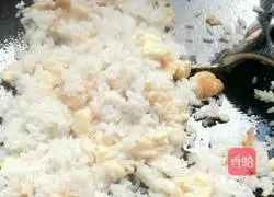 Illustration of how to make green garlic and oyster sauce fried rice 7