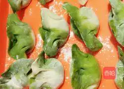 Illustration of how to make jade cabbage dumplings 16