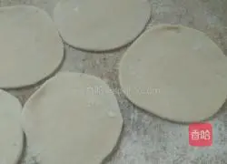 Illustration of how to make dumplings 4