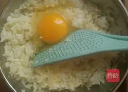 How to make golden egg fried rice Illustration 1