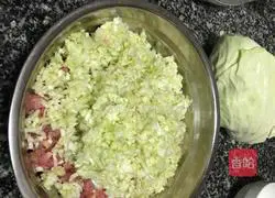 Illustration of home-style cabbage and pork stuffing dumplings 2