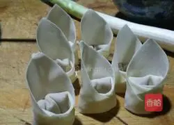Illustration of how to make delicious wontons 7