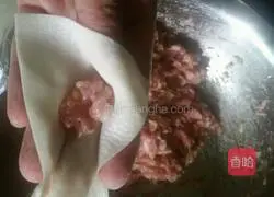 Illustration of how to make wontons 3